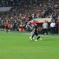 Spor