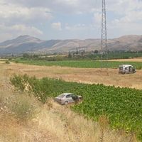 Asayiş