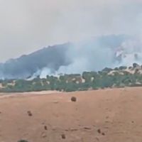Asayiş