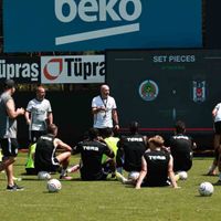 Spor