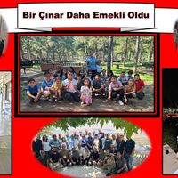 Eğitim