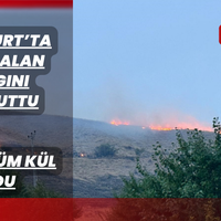 Asayiş