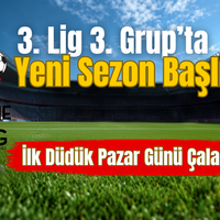 Spor