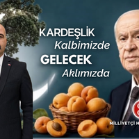 Politika