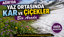 Ağrı’da Yaz Ortasında Kar ve Çiçekler Bir Arada