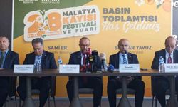 Malatya, 28. Uluslararası Kayısı Festivali'ne hazırlanıyor