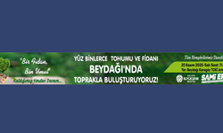 Malatya Büyükşehir Ağaçlandırma