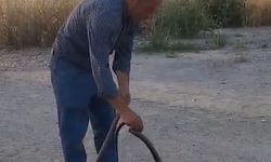Muhtar, evlere giren yılanları eliyle yakalayıp doğaya bırakıyor