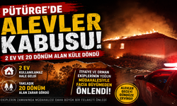 Pütürge’de Yangın: 2 Ev ve 20 Dönüm Alan Zarar Gördü