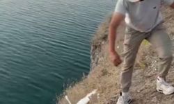 Malatya'da oltaya balık yerine martı takıldı