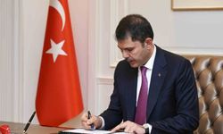 12 bin 800 yavru flamingo Tuz Gölü'nde yaşam buldu
