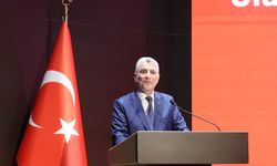 Bolat: Türkiye, Hafif Ticari Araçta Avrupa Lideriz