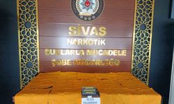 Sivas’ta Narkotik Operasyonu: 2 Şüpheli Tutuklandı