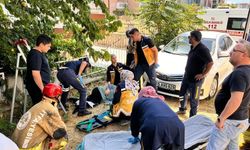 Kayısı Toplarken Korkunç Kaza: Demir Korkuluğa Saplandı