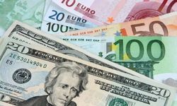 Serbest piyasada döviz kurları ne kadar?
