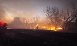 Tohma Mahallesi’nde Anız Yangını Korkuttu