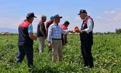 1 Milyonun Üzerinde Fide Hasadı Yapıldı