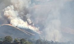 Pütürge’de Orman Yangını: Ekipler Seferber Oldu
