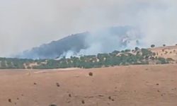 Pütürge’de Korkutan Yangın! Ekipler Seferber Oldu