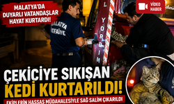 Malatya’da Çekiciye Sıkışan Kedi Kurtarıldı