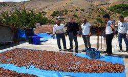 Hekimhan’da Sel Felaketi: Kayısı Üreticisi Zor Durumda