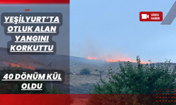 170 Dönümlük Sahada Yangın: 40 Dönüm Kül Oldu