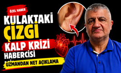 Kulak Memesindeki Çizgi Kolesterolün Habercisi Olabilir