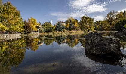 Atatürk Üniversitesi yerleşkesi ve Ata Botanik Bahçe'de sonbahar renkleri hakim oldu