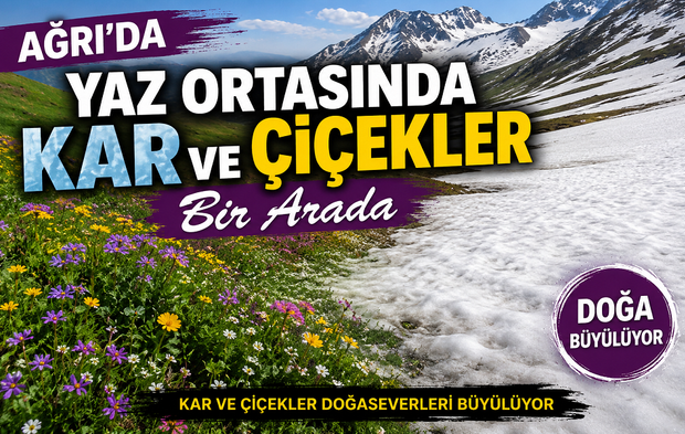 Ağrı’da Yaz Ortasında Kar ve Çiçekler Bir Arada