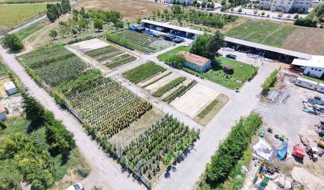 Battalgazi Belediyesi parklarda kendi üretimini kullanıyor