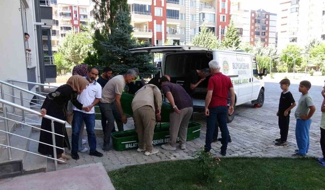 Bir hafta önce taşındığı evde ölü bulundu
