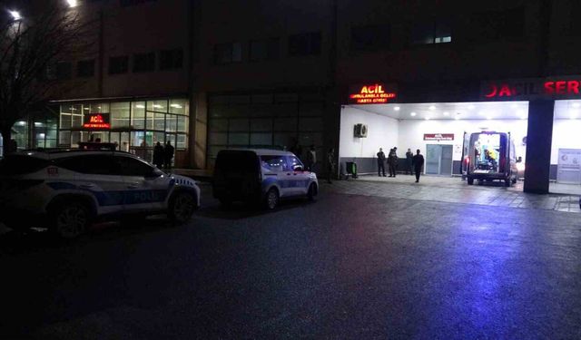 Malatya'da 'dut ağacı' kavgasında 2 tutuklama