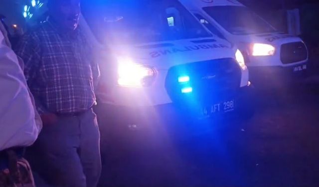 Akrabalar arasında 'dut ağacı' kavgası: 1'i çocuk 3 yaralı