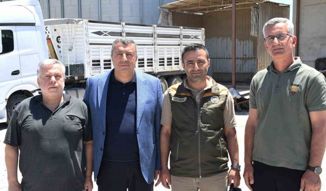 Malatya'da arpa ve buğday alımları sürüyor