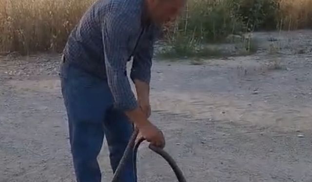 Muhtar, evlere giren yılanları eliyle yakalayıp doğaya bırakıyor