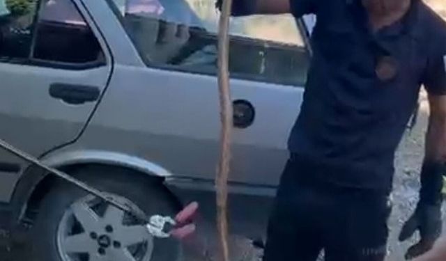 Park halindeki otomobile giren yılan paniğe neden oldu