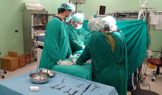 Prof. Dr. Yıldız: Çocuklarda kasık fıtığında en büyük risk ameliyatı ertelemek