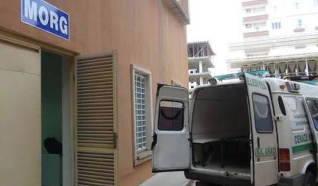 TÜİK, Türkiye'de en çok ölüme neden olan 6 hastalığı açıkladı