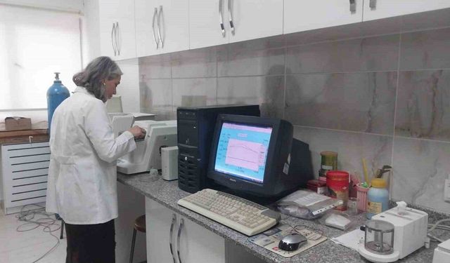 Türk profesörlerden sodyum-iyon batarya projesinde önemli aşama: