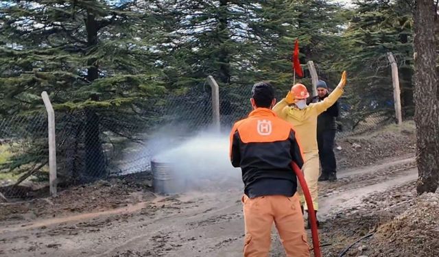 Türkiye ormancılık yarışmaları Elazığ'da düzenlendi