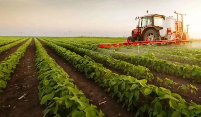315,7 Milyon TL Hibe Hesaplara Yatırıldı