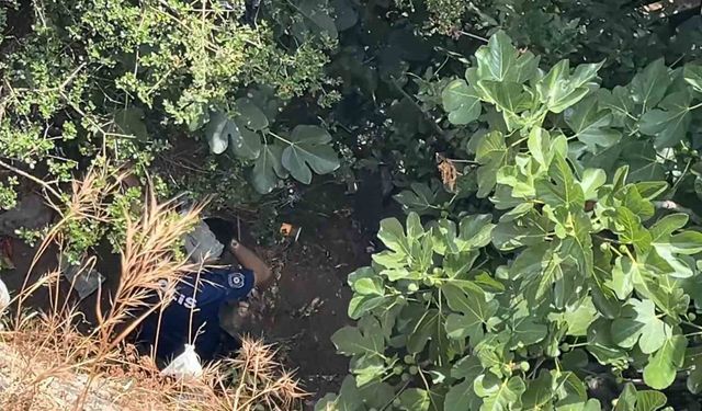 10 metreden düşen kadın, yardıma gelen polislerden kaçtı