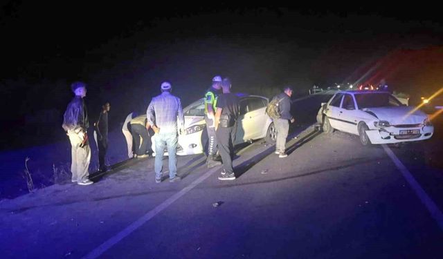 1'i çocuk 3 kişi yaralandı, 6 koyun telef oldu