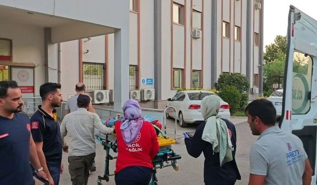 Adıyaman'da kamyonet devrildi: 6 yaralı