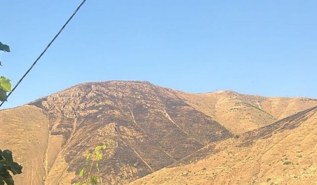 Elazığ'da dağlık alanda çıkan yangın söndürüldü