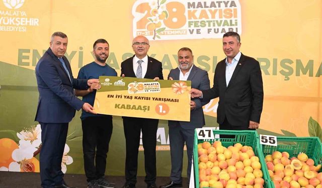 'En İyi Kayısı' yarışması düzenlendi