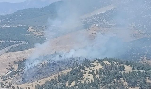 Kahramanmaraş'ta orman yangını