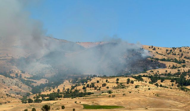 Çüngüş'te örtü yangını: Müdahale devam ediyor