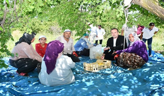 Karademir: Yeniden güçlü bir Kayısı Birliği'ne ihtiyacı var