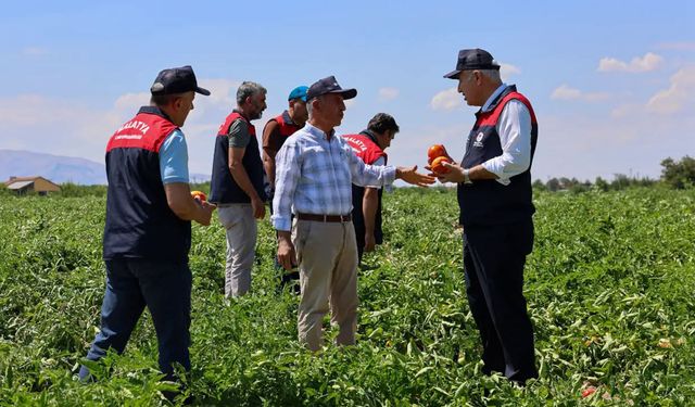 1 Milyonun Üzerinde Fide Hasadı Yapıldı